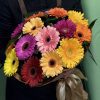 Гербера Mix (L) — изображение 2