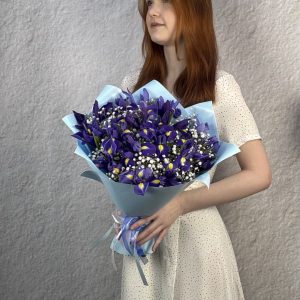 "Акварель" (М)