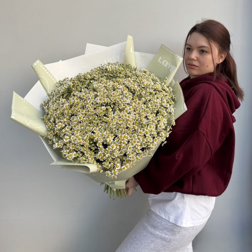 Букет Матрикария Live ( матрикарий L)