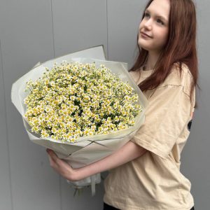 Матрикария Live (L)
