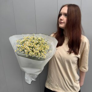 Матрикария Live (S)
