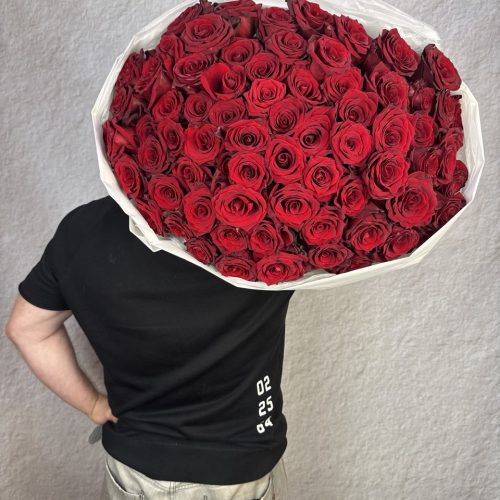 Розы бордовые 101 шт