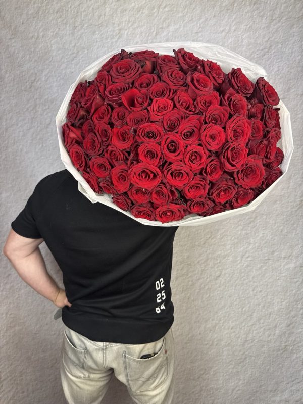 Розы бордовые 101 шт