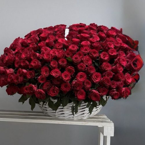 Шикарная корзина из 301 кенийской розы