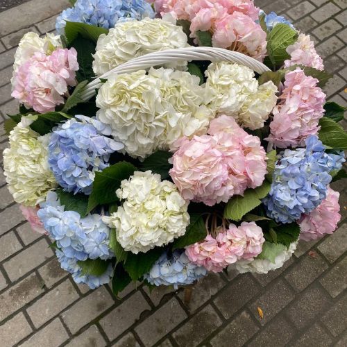 WOW Корзина из 29 гортензий