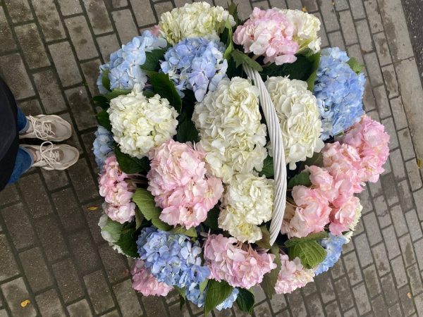WOW Корзина из 29 гортензий — изображение 4