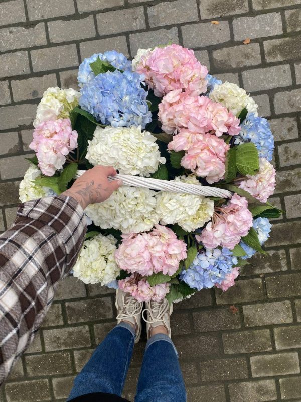 WOW Корзина из 29 гортензий — изображение 5