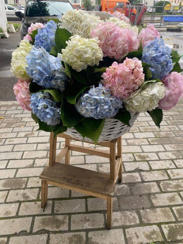 WOW Корзина из 29 гортензий — изображение 3