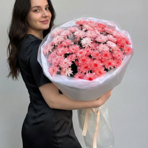 хризантемы1