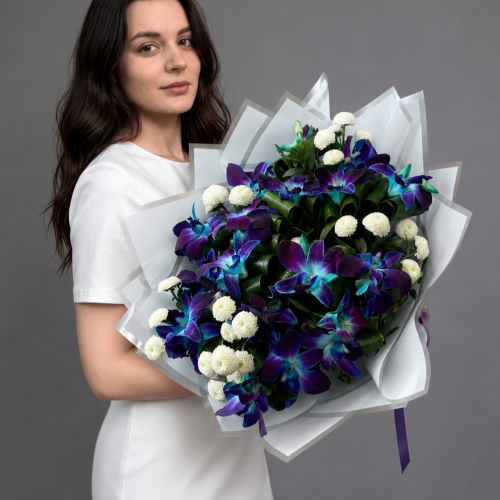 Северное сияние 1 
